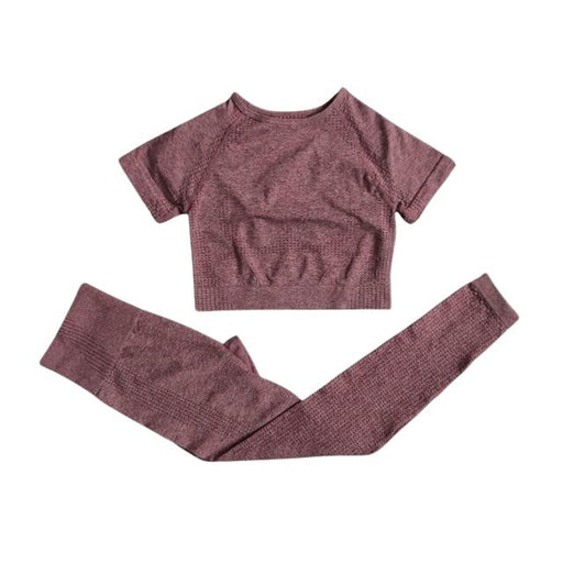 Short Sleeve Top & Leggings Gym Set - Flamin' Fitness