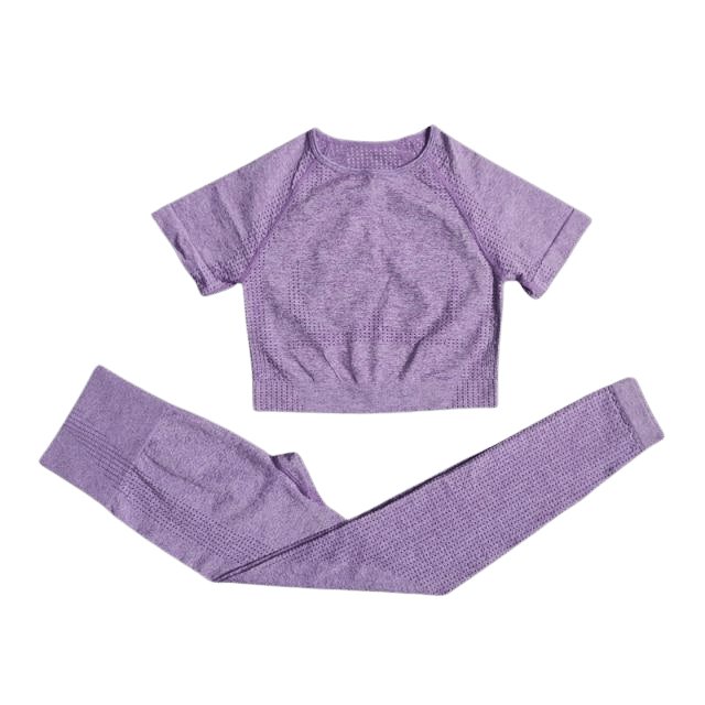 Short Sleeve Top & Leggings Gym Set - Flamin' Fitness