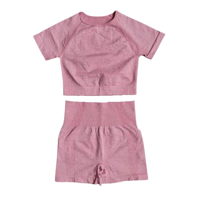 Short Sleeve Top & Shorts Gym Set - Flamin' Fitness