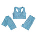 Sports Bra, Short Sleeve Top & Shorts Gym Set - Flamin' Fitness